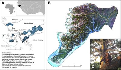 Developing an Evidence-Based Coexistence Strategy to Promote Human and Wildlife Health in a Biodiverse Agroforest Landscape